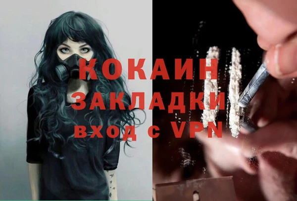 хмурый Дмитриев
